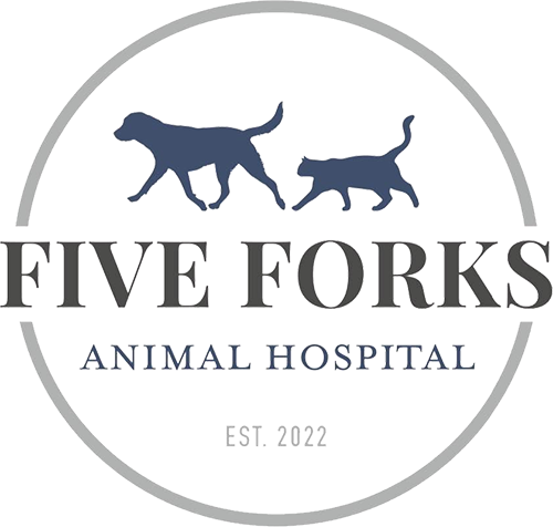 Five Forks Animal Hospital